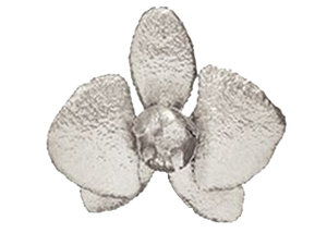 12" Silver Leaf Orchid - Wilson Lee