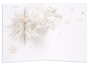 Snowflakes Greeting Card - Wilson Lee